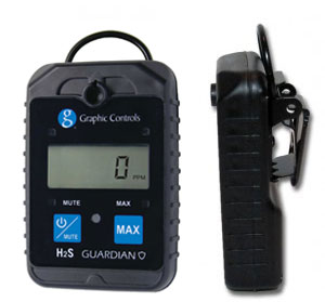 h2s gas detector